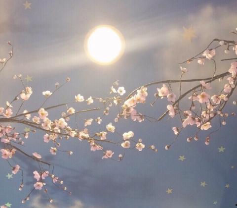 我心蔚蓝,探寻内心深处的宁静与自由