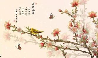 暮年又逢春,岁月沉淀的人生新篇章